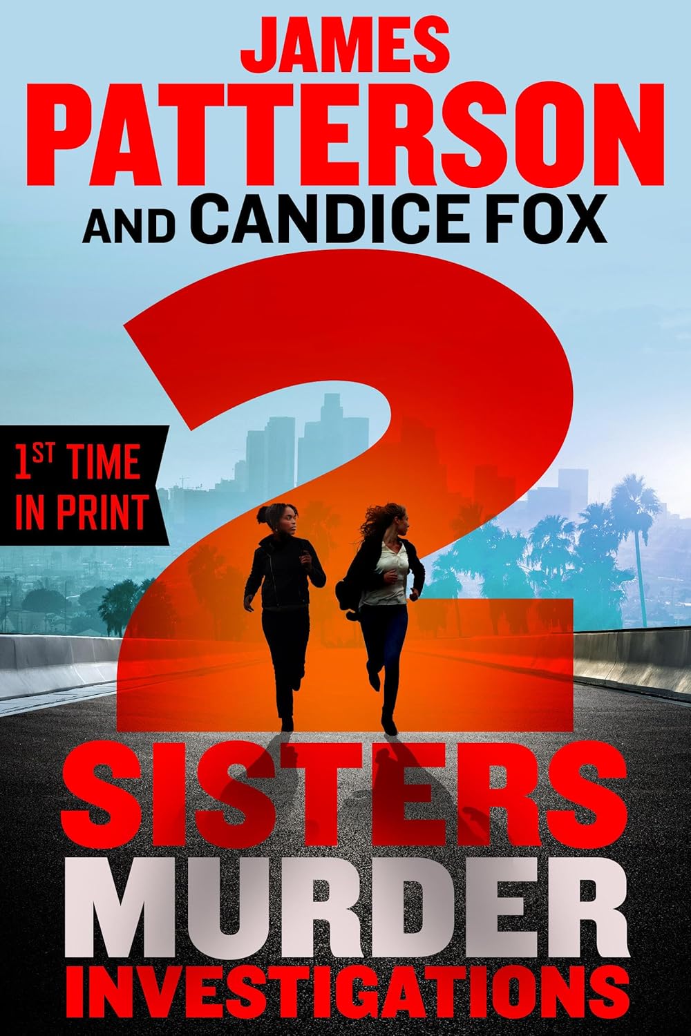 2 Sisters Murder Investigations: A Thriller (A 2 Sisters Detective Agency Mystery #2)