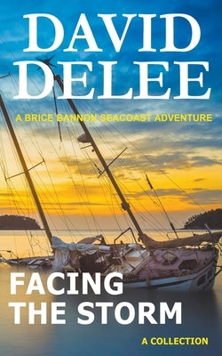 Facing the Storm by Delee, David