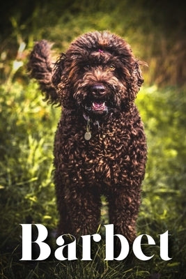 Barbet: How to train your dog and raise from puppy correctly by Pustova, Nina