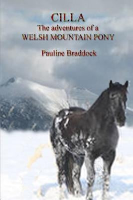 Cilla The adventures of a Welsh Mountain Pony by Braddock, Pauline