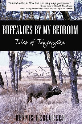 Buffaloes by My Bedroom by Herlocker, Dennis