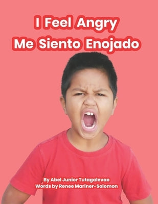 I Feel Angry: Me Siento Enojado by Mariner-Solomon, Renee