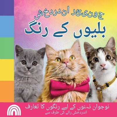 جونیئر اندردخش, بلیوں کے ž by Roy, Rainbow