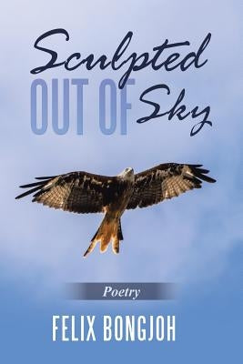 Sculpted out of Sky by Bongjoh, Felix