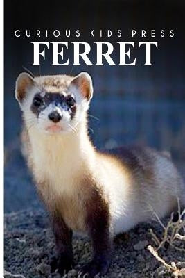 Ferret - Curious Kids Press: Kids book about animals and wildlife, Children's books 4-6 by Press, Curious Kids
