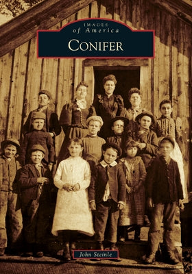 Conifer by Steinle, John F.