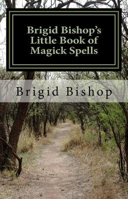 Brigid Bishop's Little Book of Magick Spells: 21st Century Magick by Bishop, Brigid