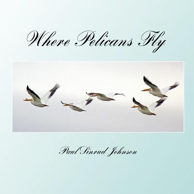 where pelicans fly: a celebration of the extraordinary everyday by Johnson, Paul Sinrud