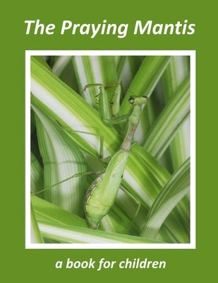 The Praying Mantis - a book for children: The tiny hunter by Booysen, Linda