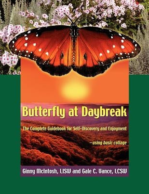 Butterfly At Daybreak by McIntosh, Ginny