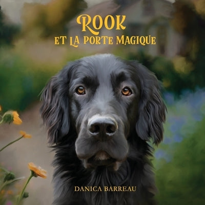 Rook et La Porte Magique (French Edition) by Barreau, Danica