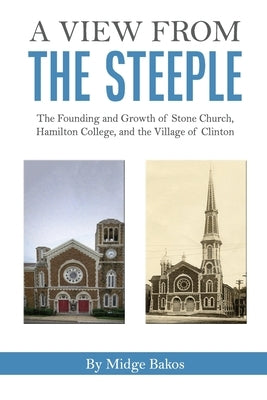 A View from the Steeple by Stiefvater, Mary Ann