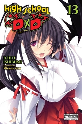 High School DXD, Vol. 13 (Light Novel): Issei SOS by Ishibumi, Ichiei