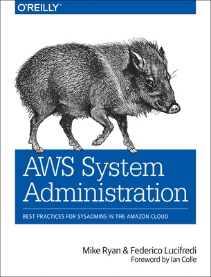 AWS System Administration: Best Practices for Sysadmins in the Amazon Cloud by Ryan, Mike