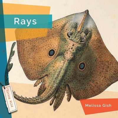 Rays by Gish, Melissa