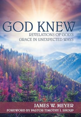 God Knew: Revelations of God's Grace in Unexpected Ways by Meyer, James W.