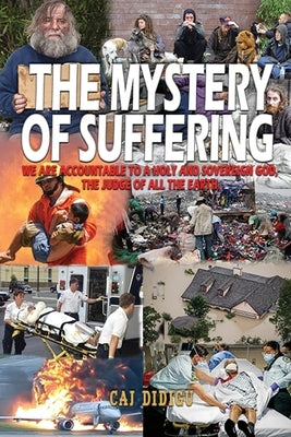 The Mystery of Suffering by Didigu, Caj