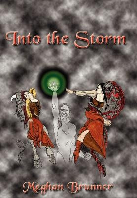 Into the Storm by Brunner, Meghan