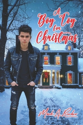 A Boy Toy for Christmas by Roeder, Mark a.