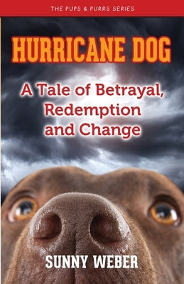 Hurricane Dog: A Tale of Betrayal, Redemption and Change by Weber, Sunny