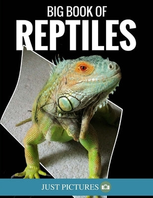 Big Book Of Reptiles: Just Pictures! by Bronk, Jeff