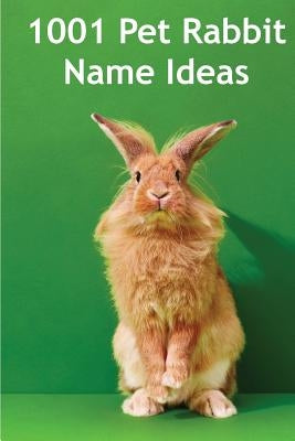 1001 Pet Rabbit Name Ideas: The most popular, quirky, and fun names you could give your pet rabbit! by Thompson, Alison