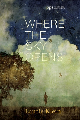 Where the Sky Opens: A Partial Cosmography by Klein, Laurie