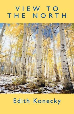 View to the North by Konecky, Edith