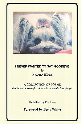 I Never Wanted To Say Goodbye by Klein, Arlene
