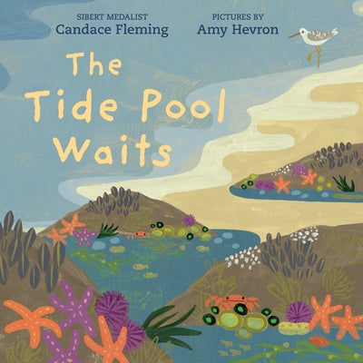 The Tide Pool Waits by Fleming, Candace