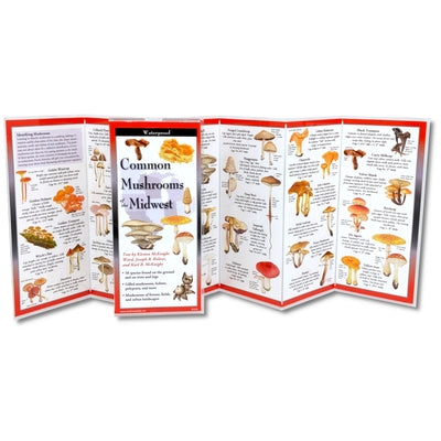 Common Mushrooms of the Midwest by McKnight Ward, Kirsten