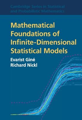 Mathematical Foundations of Infinite-Dimensional Statistical Models by Giné, Evarist