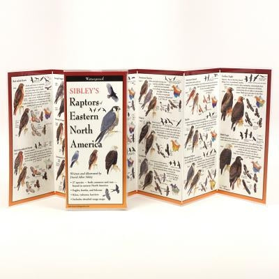 Sibley's Raptors of Eastern North America by Sibley, David
