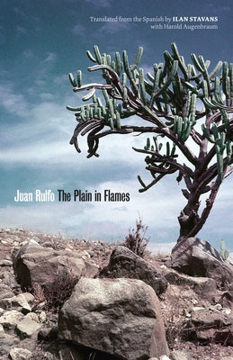 The Plain in Flames by Rulfo, Juan