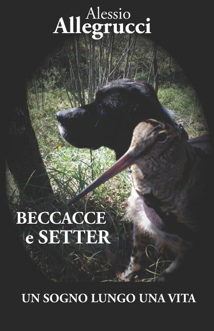Beccacce E Setter: Un Sogno Lungo Una Vita by Allegrucci, Alessio
