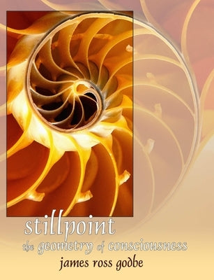 Stillpoint: The Geometry of Consciousness by Godbe, James