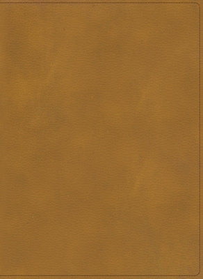 Rvr 1960 Biblia Ilustrada de la Tierra Santa, Café Símil Piel by B&h Español Editorial