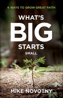 What's Big Starts Small: 6 Ways to Grow Great Faith by Novotny, Mike