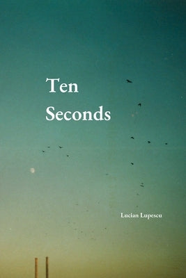 Ten Seconds by Lupescu, Lucian