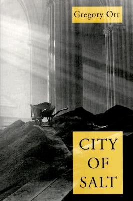 City Of Salt by Orr, Gregory
