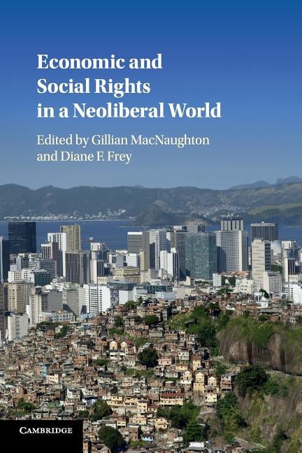 Economic and Social Rights in a Neoliberal World by Macnaughton, Gillian