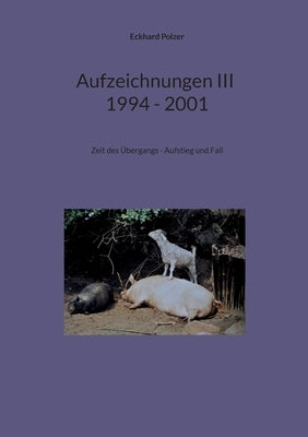 Aufzeichnungen III; 1994 - 2001: Zeit des Übergangs - Aufstieg und Fall by Polzer, Eckhard