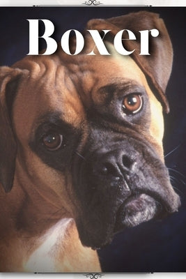 Boxer: Dog breed overview and guide by Pustova, Nina