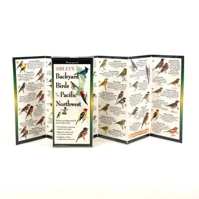 Sibley's Backyard Birds of Pacific Northwest by Sibley, David Allen