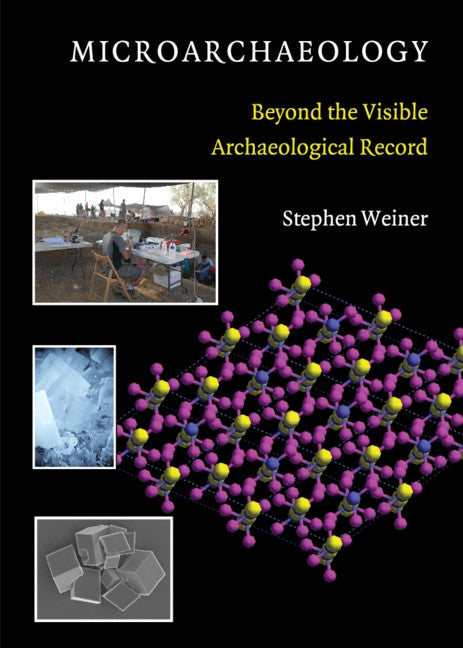 Microarchaeology by Weiner, Stephen