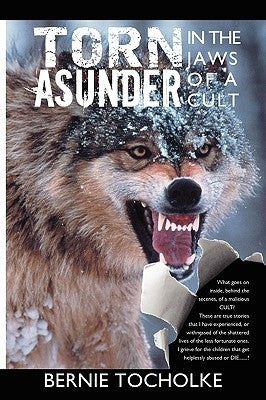 Torn Asunder by Tocholke, Bernie