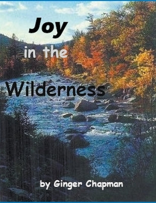 Joy in the Wilderness by Chapman, Ginger