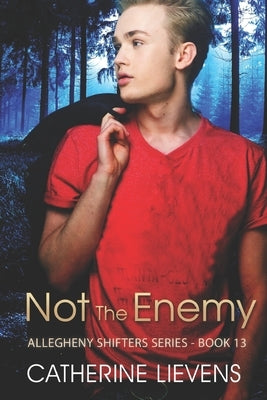 Not the Enemy by Lievens, Catherine