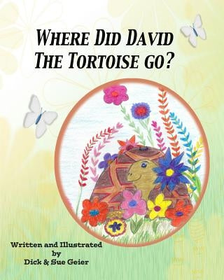 Where Did David The Tortoise Go?: The Story of a Lost Pet by Geier, Sue