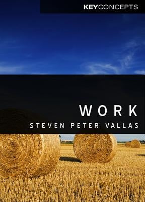 Work: A Critique by Vallas, Steven